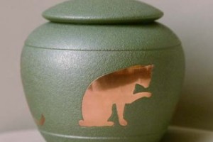 Photo of Fern Pet Urn from Hindman Funeral Homes, Inc.