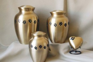 Photo of Classic Brass Series Pet Urn from Hindman Funeral Homes, Inc.