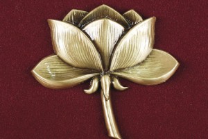 Photo of Lotus Flower from Hindman Funeral Homes&Crematory,Inc.