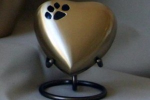Photo of Hin Heart Display Pet keepsake from Hindman Funeral Homes, Inc.