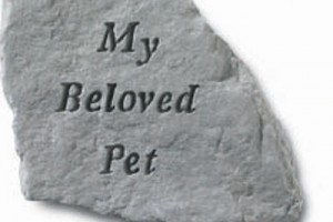 Photo of S65820 Pet memorial from Hindman Funeral Homes, Inc.