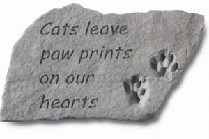 Photo of Z9242 Pet memorial from Hindman Funeral Homes, Inc.