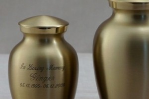 Photo of bronze classic Pet Urn from Hindman Funeral Homes, Inc.