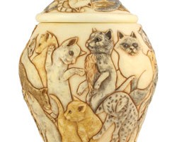 Photo of Cats galore Pet Urn from Hindman Funeral Homes, Inc.