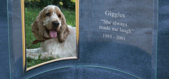 Dog Plaque