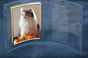 Photo of Rain Plaque Pet keepsake from Hindman Funeral Homes, Inc.